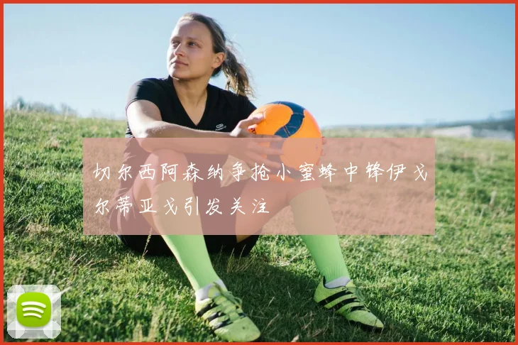 切尔西阿森纳争抢小蜜蜂中锋伊戈尔蒂亚戈引发关注
