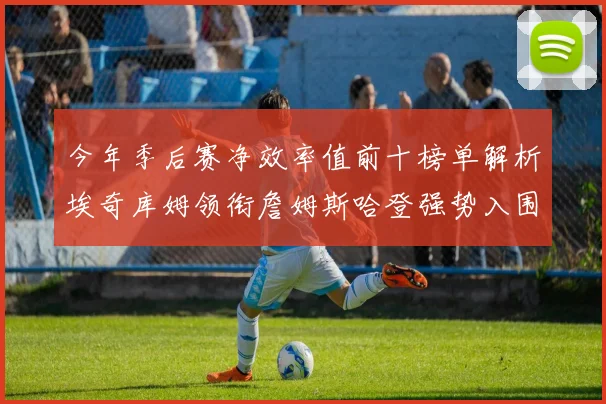 今年季后赛净效率值前十榜单解析埃奇库姆领衔詹姆斯哈登强势入围